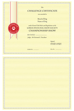 Certificate, blank for your content or with sample text