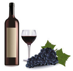 Fototapeta premium A wine bottle and glass of wine and some grapes. Vector.