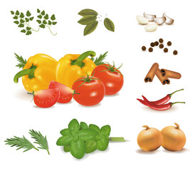 Group of vegetables and spice collection. Vector.