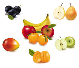 Group of fruit. Vector.