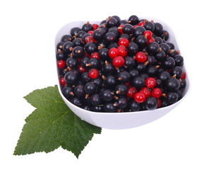 Currant black and red