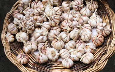 fresh garlic