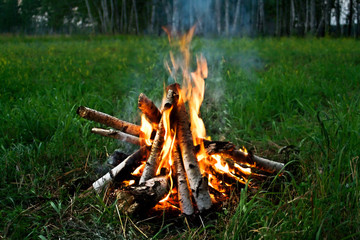 Wooden camp fire