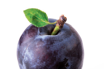 plum