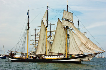 Hanse Sail