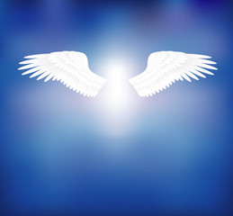 Angel Wings 天使翅膀