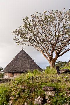 Traditional Manggarai village in Indonesia