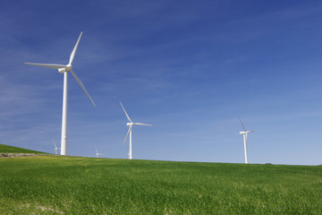 Fototapeta premium wind energy