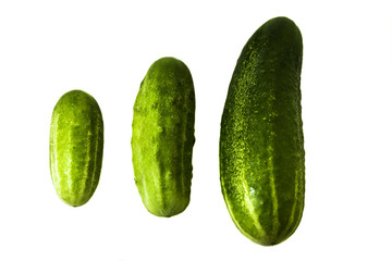 Different cucumbers