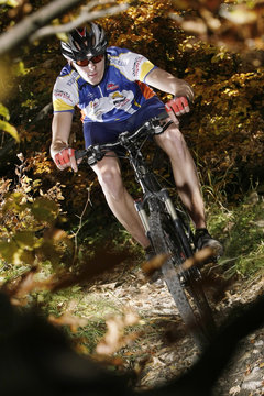 downhill herbst bl&auml;tterwald