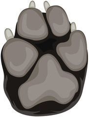 Dog Paw