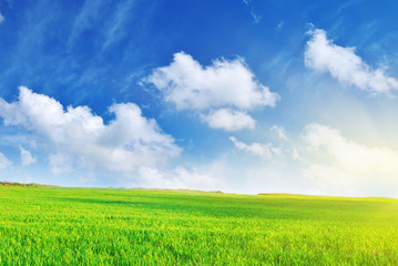 Obraz premium Plain and deep blue sky