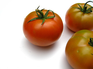 Tomaten