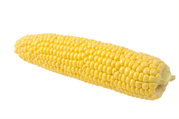 Corn on the cob
