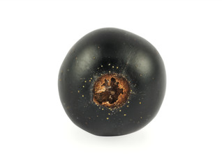 Blackcurrant
