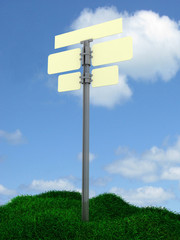 pointer in the grass