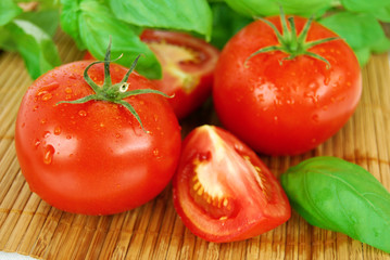 Basil and tomatoes