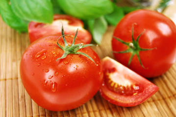 Basil and tomatoes