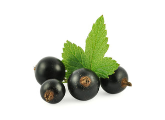 Black currant with leaf isolated on white