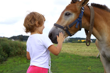 Little girl stroking horse - obrazy, fototapety, plakaty