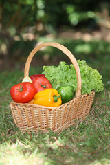 panier de légumes