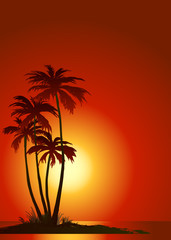 Fototapeta na wymiar palm