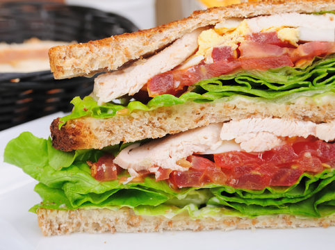 Sandwich - chicken, cheese and lettuce