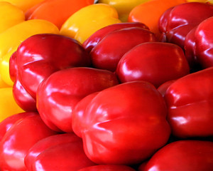 Farmers Market in Seattle