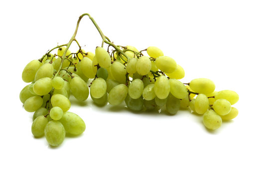 รูปภาพRaspo – เลือกดูภาพถ่ายสต็อก เวกเตอร์ และวิดีโอ340 | Adobe Stock