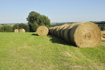 erntezeit 29