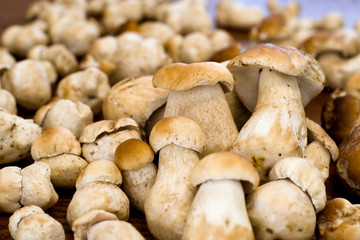 Mushrooms