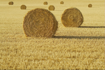 Balas de paja