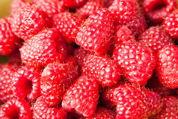 rote Himbeeren