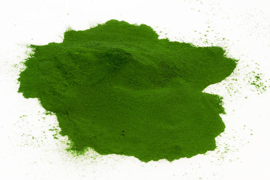 Pulver - Chlorella Vulgaris -  Pyrenoidosa