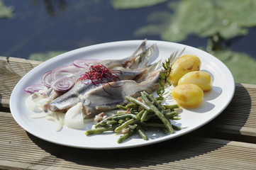 frische Matjesfilets, Fisch, Fischgericht