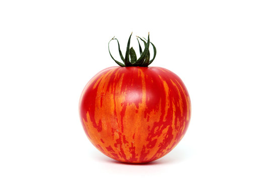 Tigerella Tomate