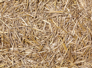 Straw background