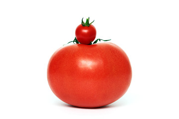 Fleischtomate mit Cocktailtomate auf Weiß