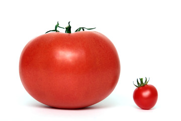 Fleischtomate mit Cocktailtomate