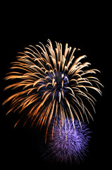 Obraz premium Big firework