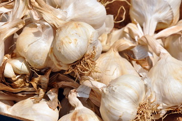Knoblauch