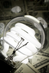 Lightbulb and dollar