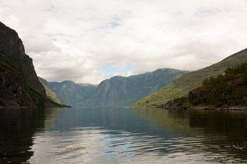 Fototapeta na wymiar a lake or sea between norwegian fjords and green mountains in a cloudy summer day