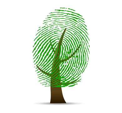 Fingerprint tree vector