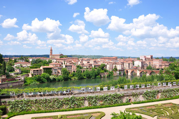 Fototapeta premium Albi 2