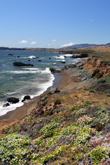 Obraz premium California's Central Coast, Big Sur, USA..