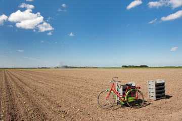 Working in agriculture fields