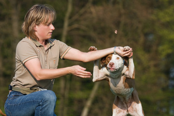 Hundetraining mit Belohnung