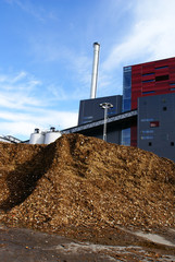 bio fuel power plant