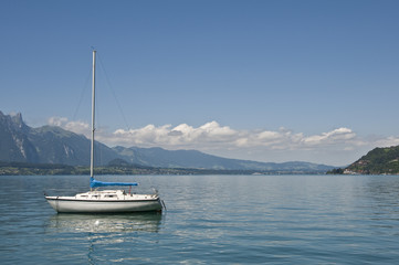 Fototapeta na wymiar Spiez, Jezioro Thun